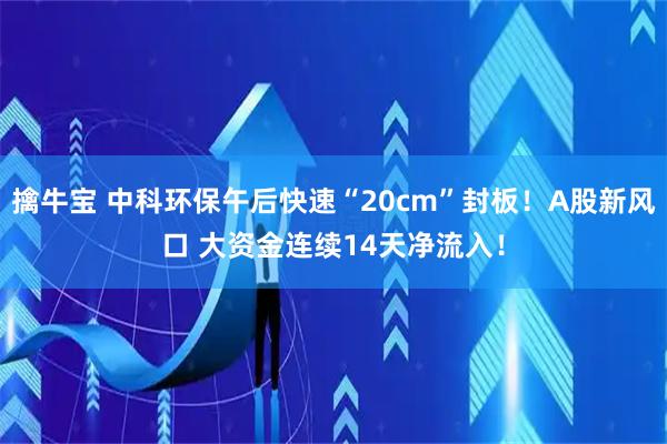 擒牛宝 中科环保午后快速“20cm”封板!A股新风口 大资金连续14天净流入!