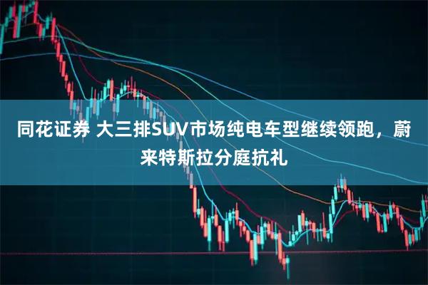 同花证券 大三排SUV市场纯电车型继续领跑,蔚来特斯拉分庭抗礼