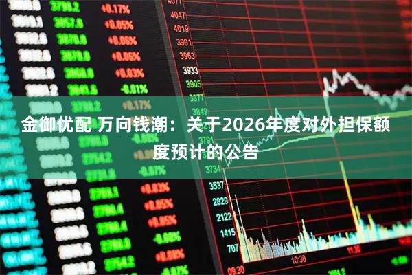 金御优配 万向钱潮：关于2026年度对外担保额度预计的公告
