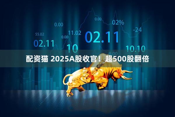 配资猫 2025A股收官！超500股翻倍