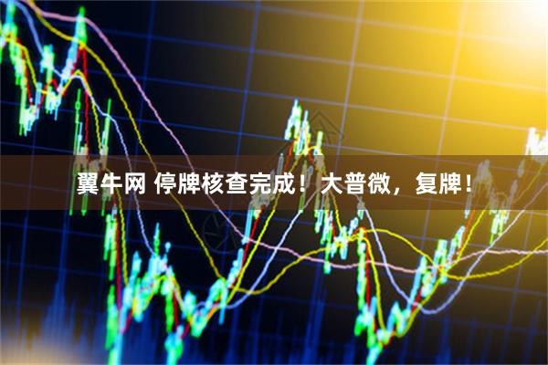 翼牛网 停牌核查完成!大普微,复牌!