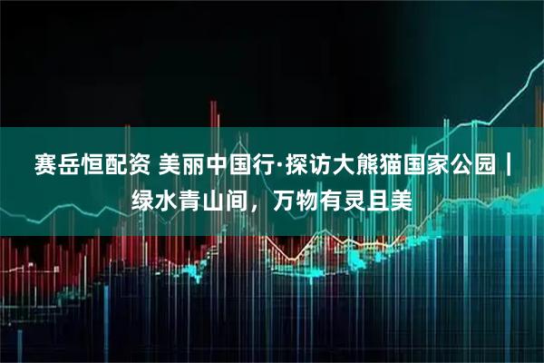 赛岳恒配资 美丽中国行·探访大熊猫国家公园｜绿水青山间，万物有灵且美