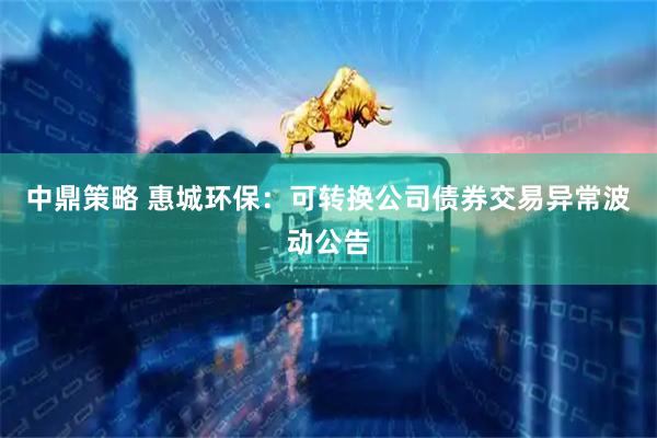 中鼎策略 惠城环保：可转换公司债券交易异常波动公告