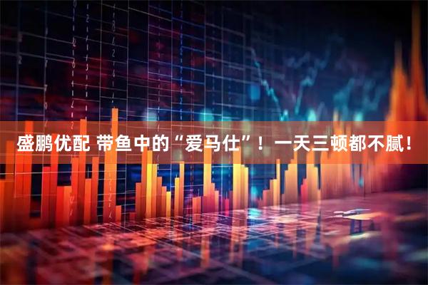 盛鹏优配 带鱼中的“爱马仕”！一天三顿都不腻！