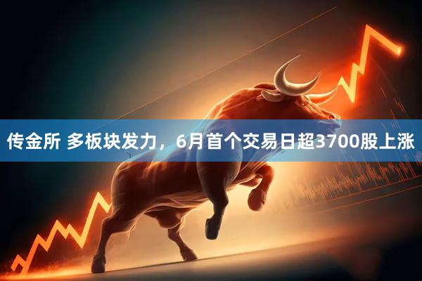 传金所 多板块发力，6月首个交易日超3700股上涨