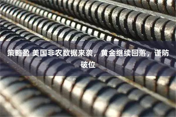策略盈 美国非农数据来袭，黄金继续回落，谨防破位