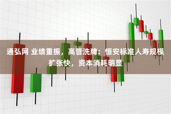 通弘网 业绩重振，高管洗牌：恒安标准人寿规模扩张快，资本消耗明显