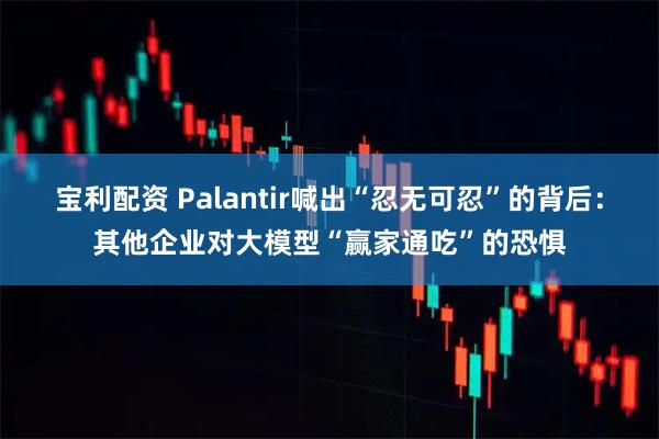 宝利配资 Palantir喊出“忍无可忍”的背后：其他企业对大模型“赢家通吃”的恐惧
