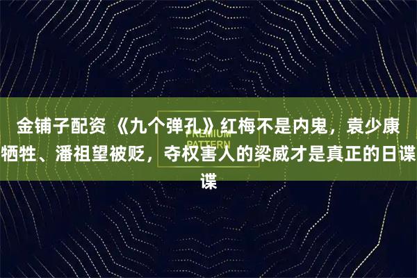 金铺子配资 《九个弹孔》红梅不是内鬼，袁少康牺牲、潘祖望被贬，夺权害人的梁威才是真正的日谍