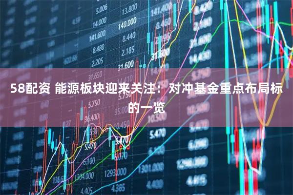 58配资 能源板块迎来关注：对冲基金重点布局标的一览